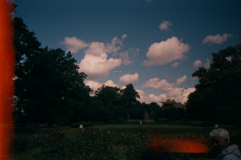 Photograph